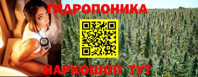 альфа пвп Бердск