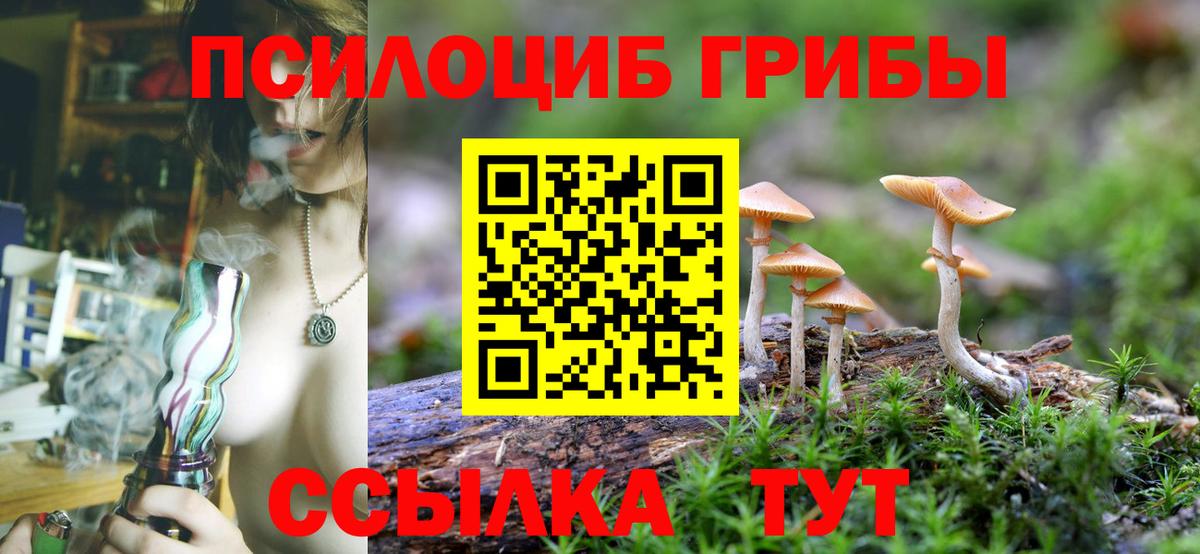 Псилоцибиновые грибы MAGIC MUSHROOMS Асино