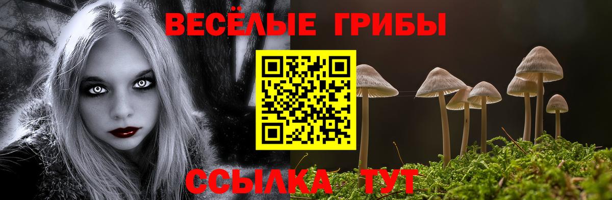 Псилоцибиновые грибы прущие грибы  Вход с VPN  Асино 