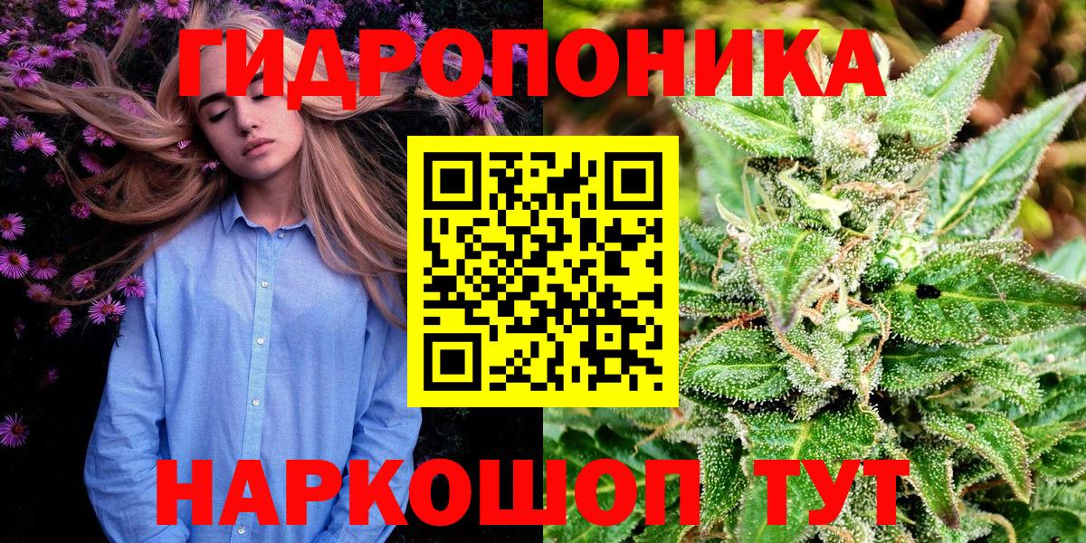 Каннабис MAZAR  Конопля план  МАРИХУАНА марихуана  Вход с VPN  Асино 